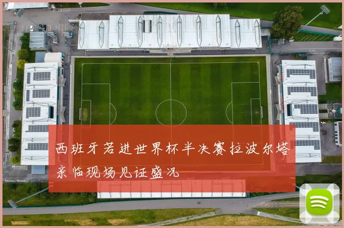 西班牙若进世界杯半决赛拉波尔塔亲临现场见证盛况